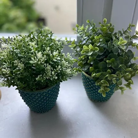 Strandkoje * Flensbourg