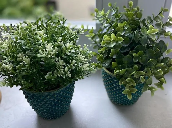 Strandkoje * Flensburg